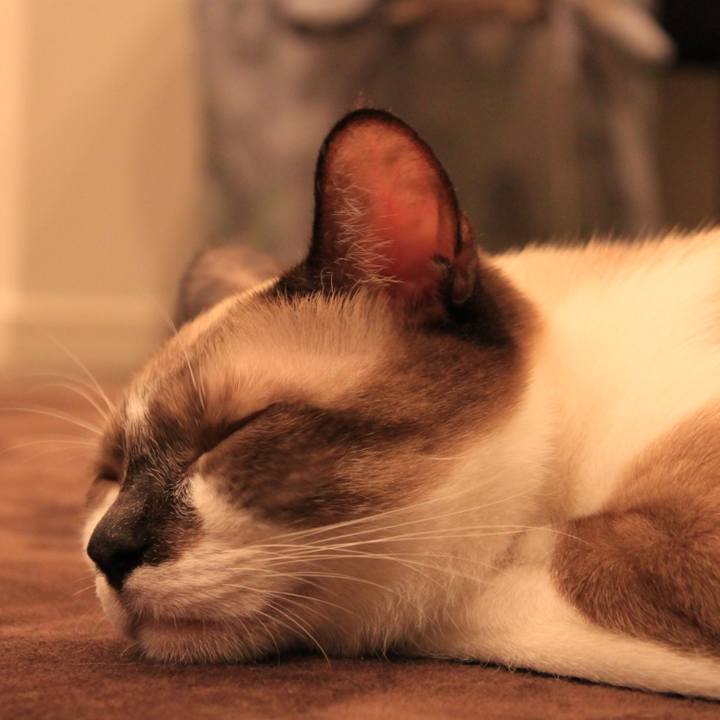 87f58bb4 8c86 45d9 ac84 2913e0a73467