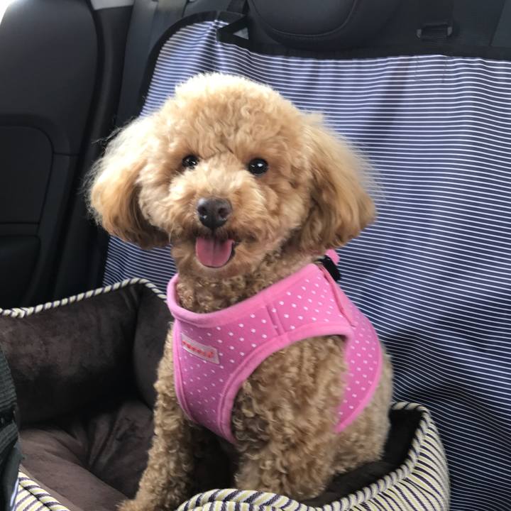 87f5f90b 1c10 404a aac2 9c19a77606ec