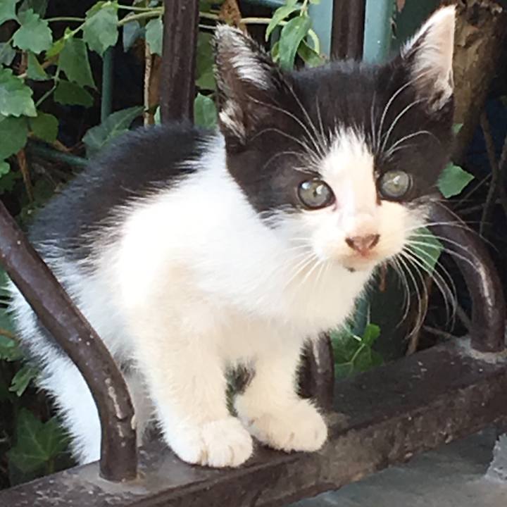 87f601c6 b176 48d5 96cd 65f8aed31d8e