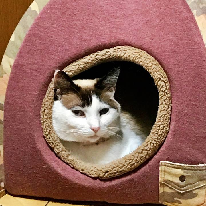 87f60eed 4c54 48e0 8dd8 df610c654916