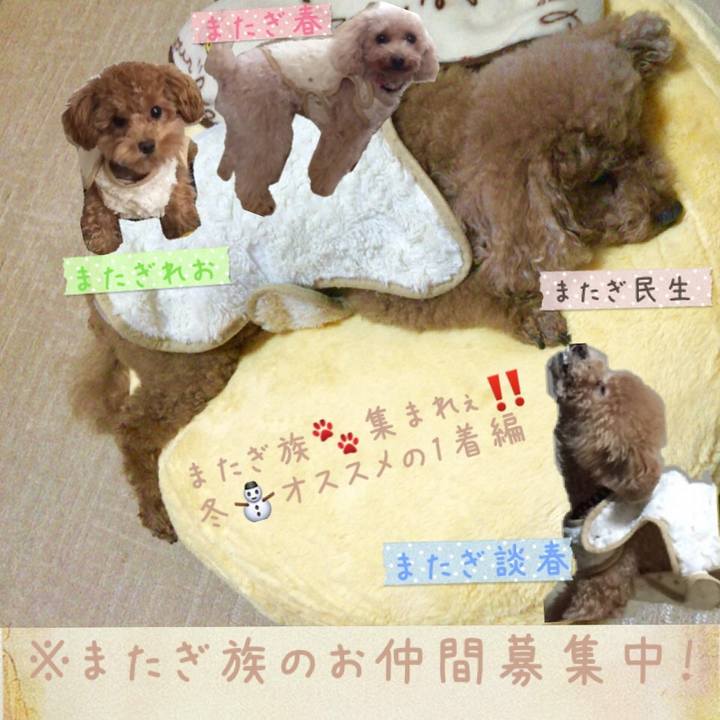 87f63502 fd6a 437c 9d2e ee2cba2c1f37