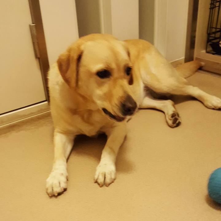 87f642e4 43eb 4644 807f 24c63f70d2e3