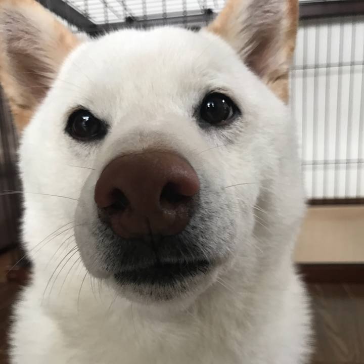 87f7001b 5ae8 4bd7 a867 90404d7c7040