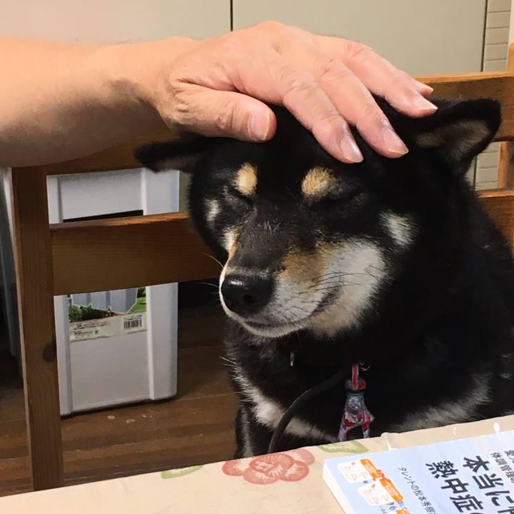 87f73657 1c2d 49e7 a2c4 35a6f2d55697