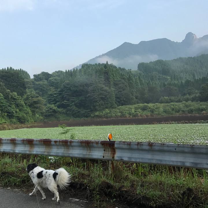 87f788cf 2f71 48b6 8f15 1ba13e8302a9