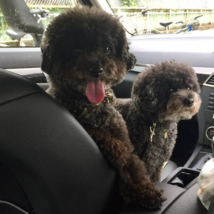 87f7fb7b 13fc 4032 bc4a 974357e95908