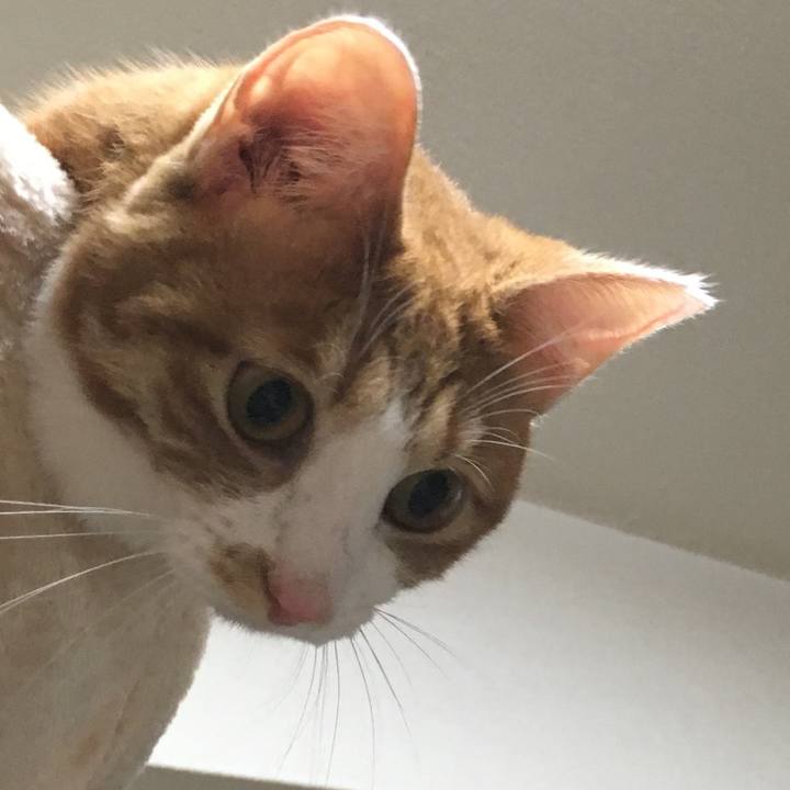 87f818ac fe87 4902 b45f 7f866f916d8a