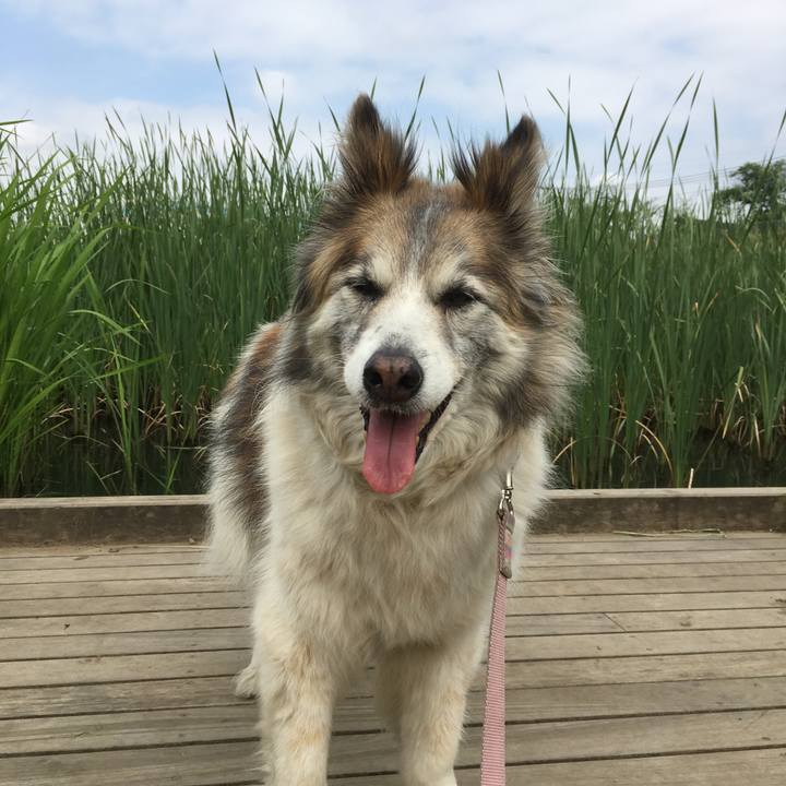 87f8ffaa 5a6e 4e94 97ae 9c4d8d91c90c