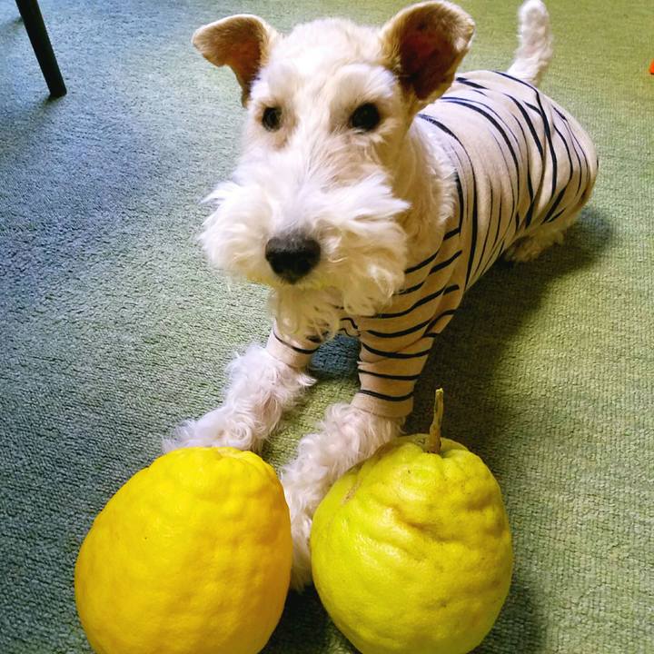 87f9d440 6676 43d5 86e4 02b06b09c220