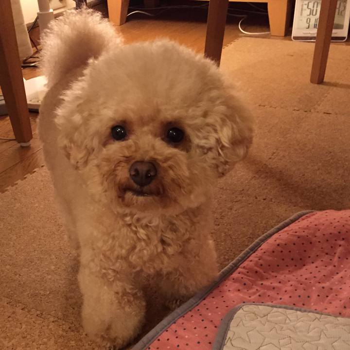 87faaf1a b736 4fc2 9674 54df6d61198c