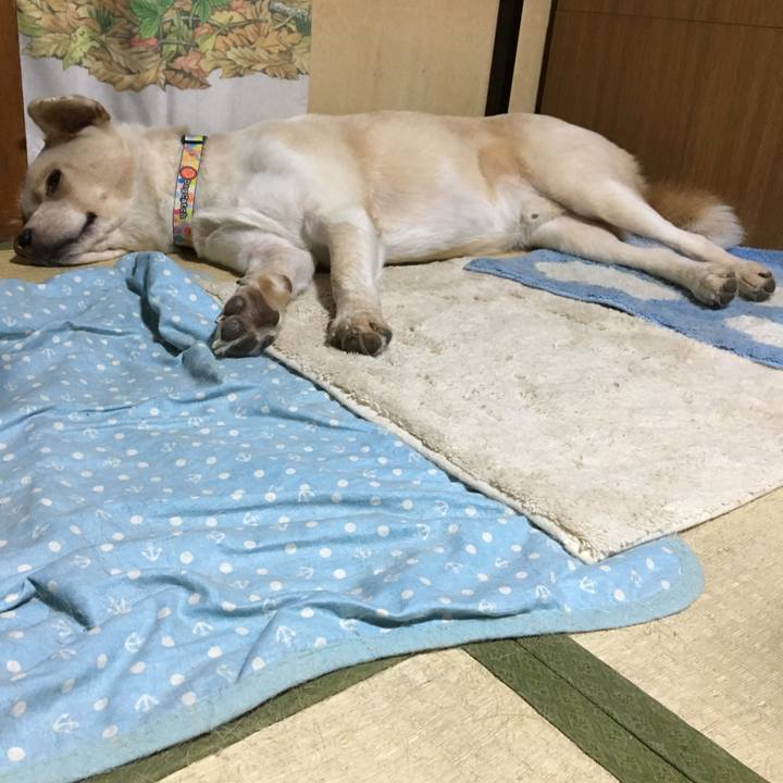 87fab2d3 9694 4ca6 b6ef 55a7524eac69