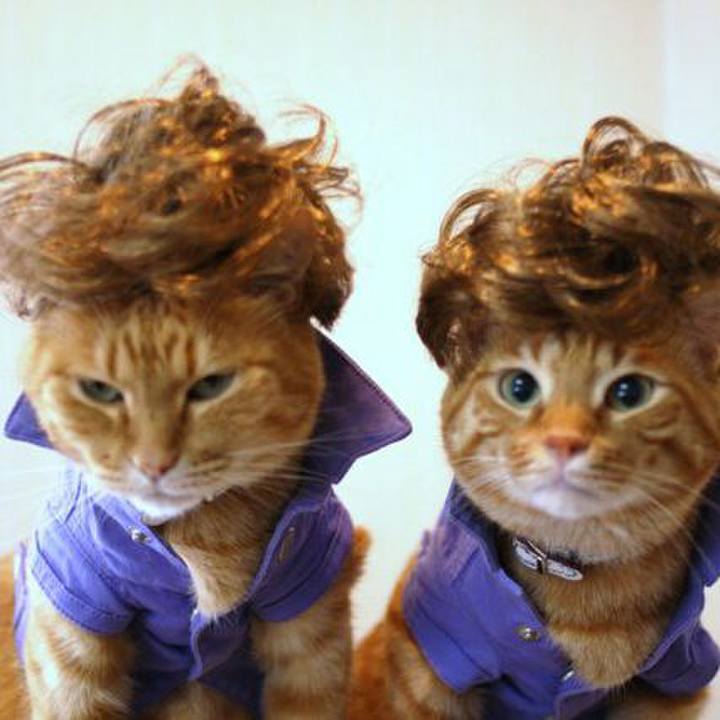 87fac731 6652 4cb4 bddc 34e94984ba6e