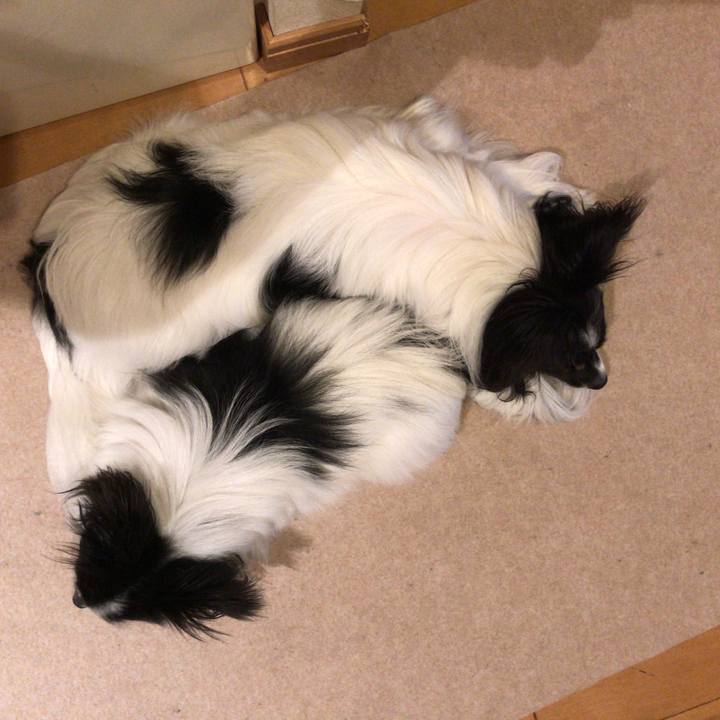 87facad3 46b9 4a74 8fcb 478f48f6b90b