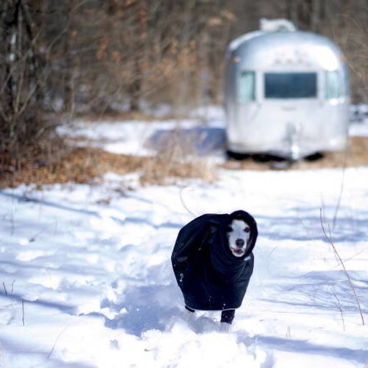 87facf93 9581 4fad 8b8e 8476a09358fb