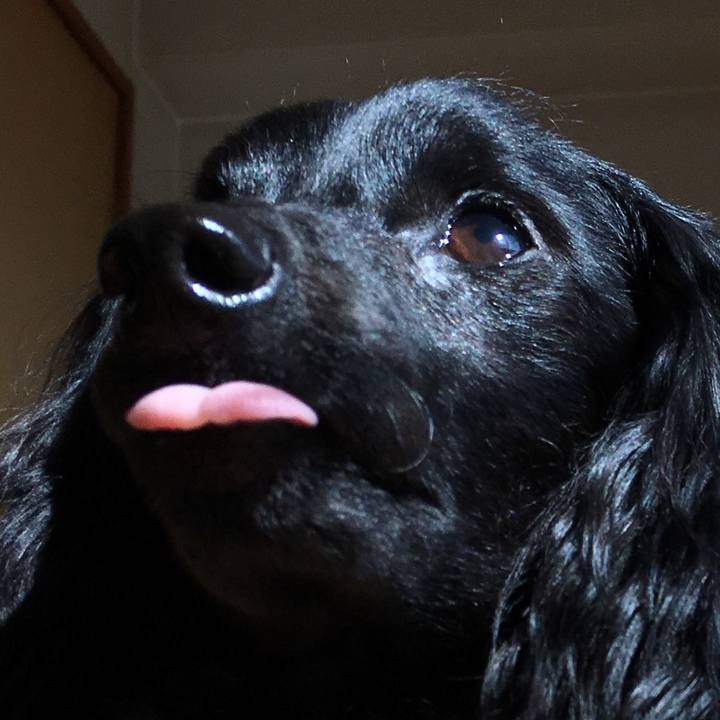 87fb2be7 8c55 4ba4 a645 6942e5eb67aa