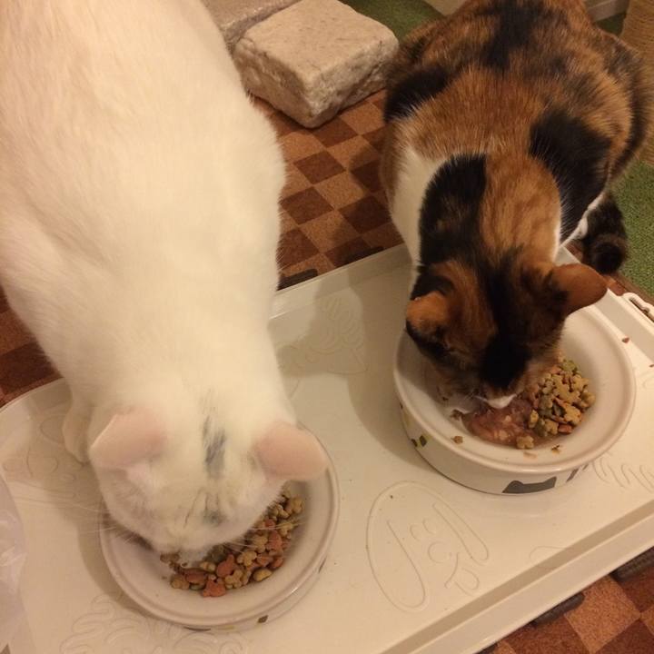 87fb6461 9c23 4edf b4d6 6745c3bfc31e