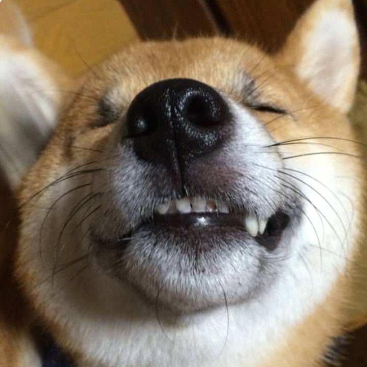 87fc464b 3b62 42b4 bb02 9d564d14c9f6