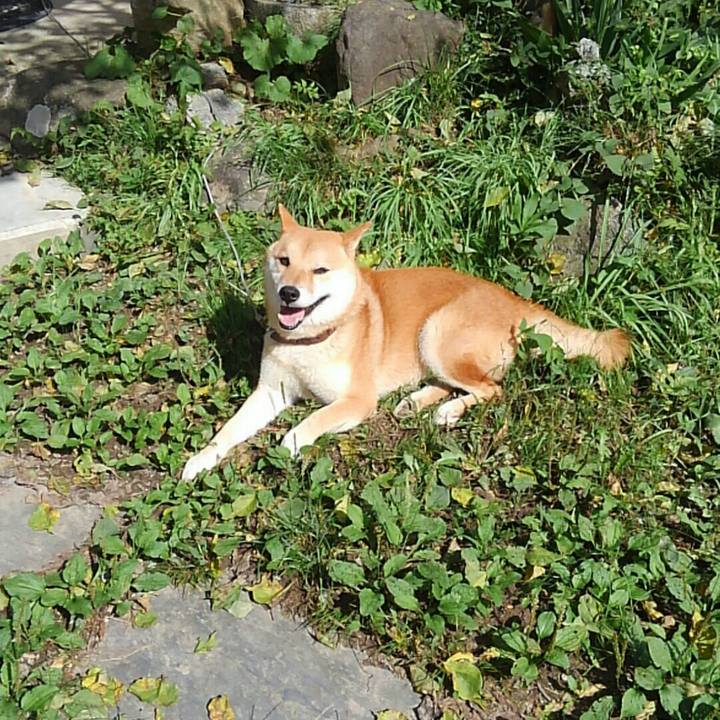 87fca21f e7f4 4b2e bea3 4bb41ab98f8b