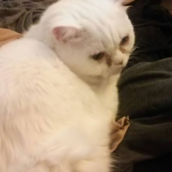 87fd3ab4 5cc2 40d5 b1f4 f5e00ae07a45