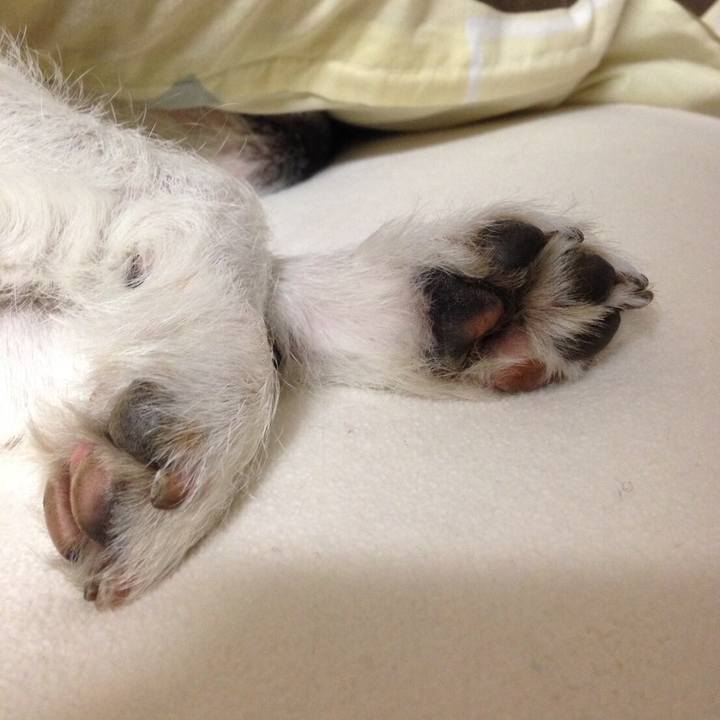 87fd5114 accb 4ea9 898b 1bff8281ad04