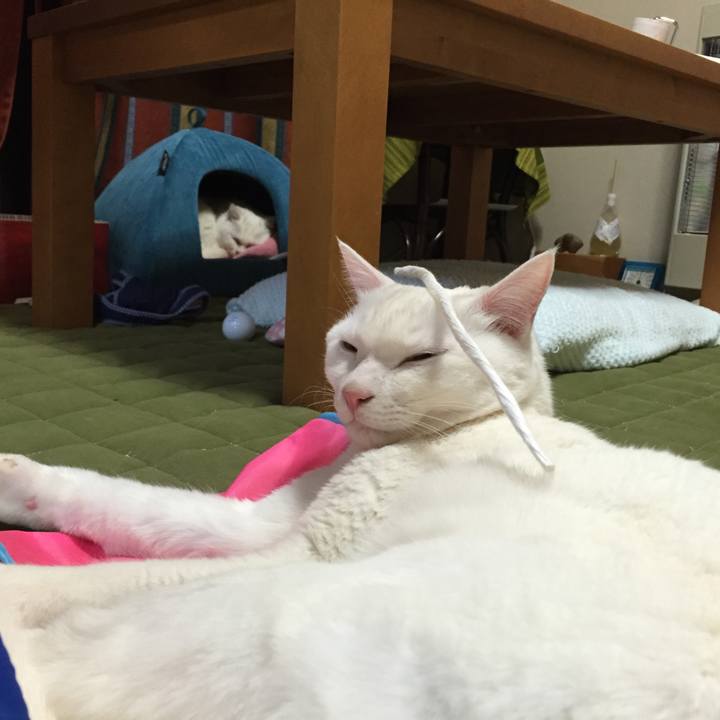 87fed959 b58d 4395 877b 443485ba10b0