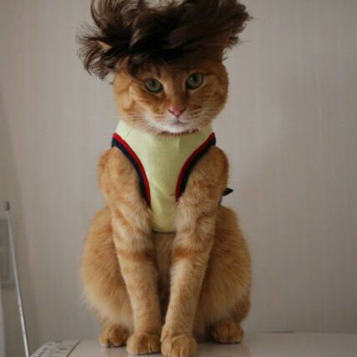 87ff13a9 cabe 489f a6a8 c2528114dd01