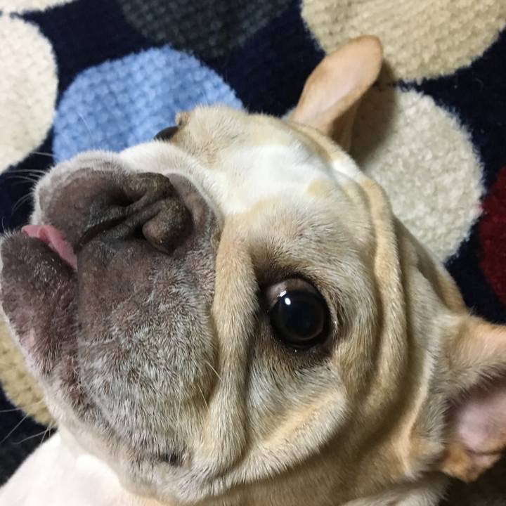 87ff2314 3b03 498e b7f7 036d9564f51f