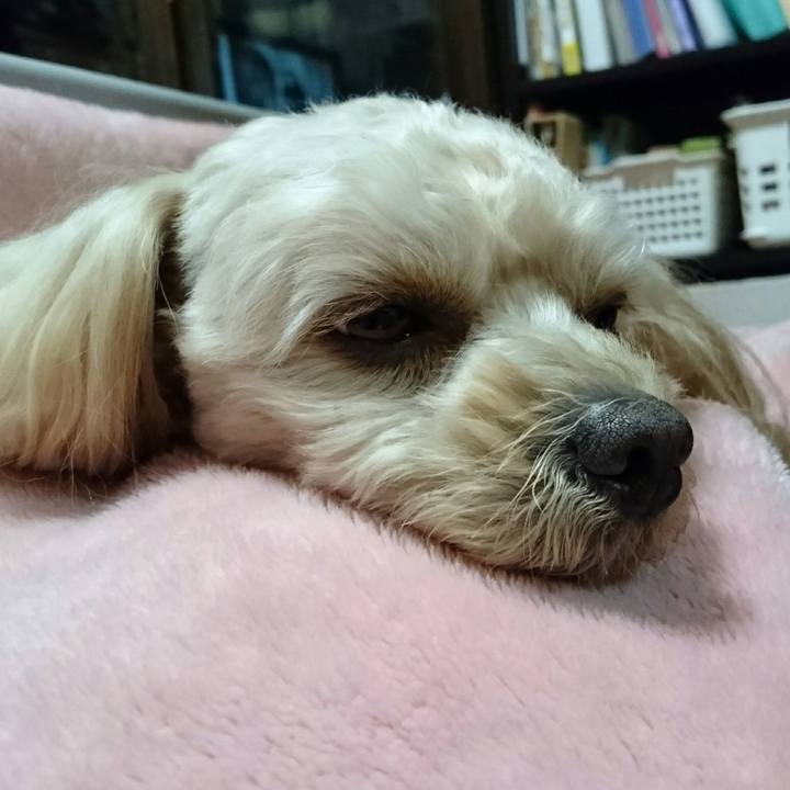 87ff4dc3 5e4f 49ef ba23 11963d6c62b0