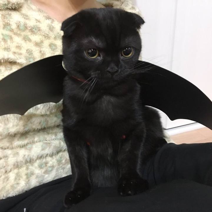 87ff6f32 7bf9 4ed3 b85e add294f4cce8