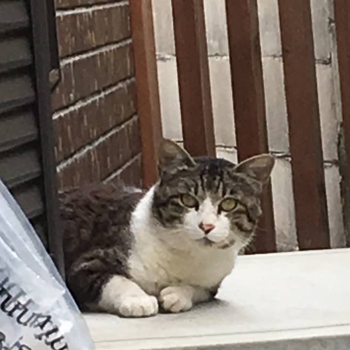 87ffc337 e936 41cf a7e4 b1ce5257ee1d