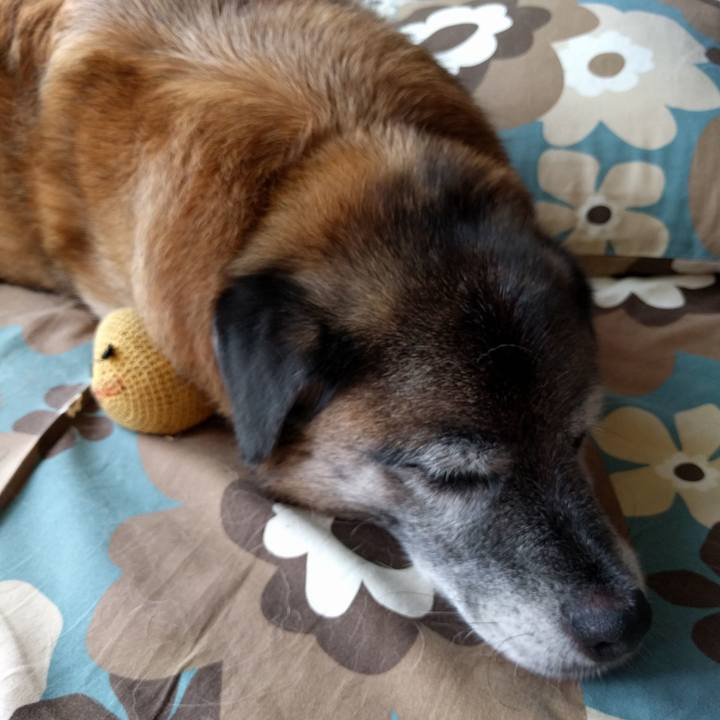 880035e3 4641 46f6 8a2f 5536f53326db