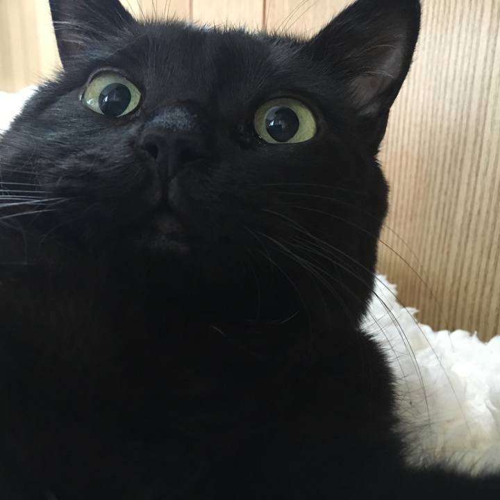 8800485e 56c9 4469 93bc db1ad27b8e09