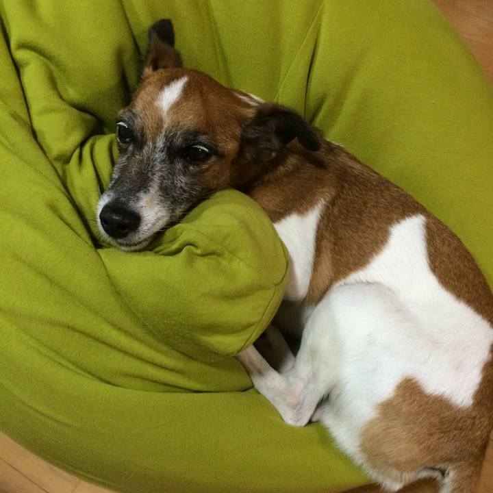 880060c4 6162 4ed8 bbaf 5b8aa5098554