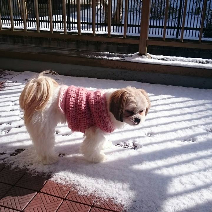 88008dfd 0d41 4ffd 959b 05279b5a23c7