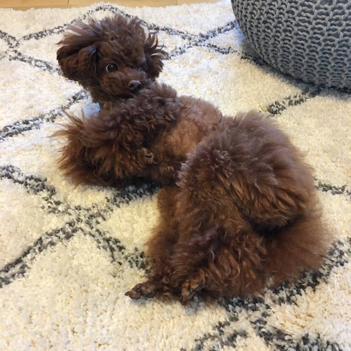 8801dd7c 944d 4486 a6a7 9ba8cb358815