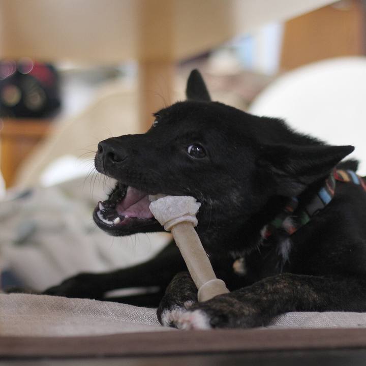 88020d75 64fa 4da8 83a7 5e91b3b27721