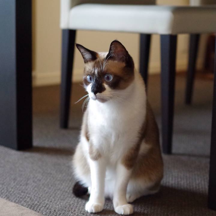 880289d2 7708 40be 8ea7 78c901ee8315