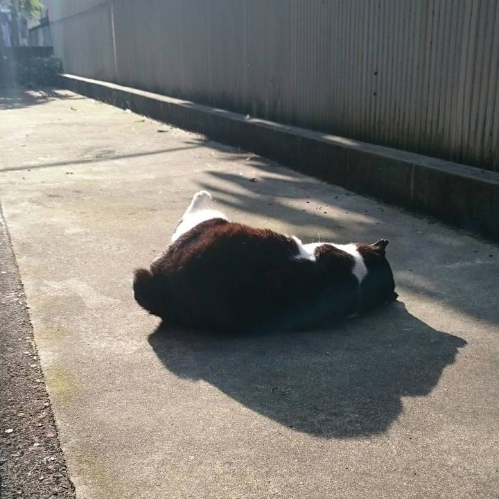 88030b49 74b6 43f2 91ed 65ea0d195138