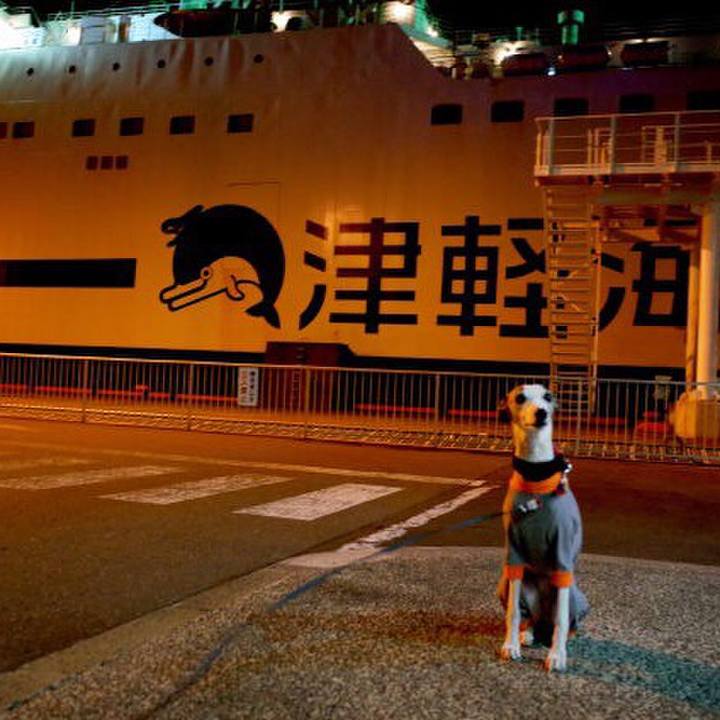 880373a7 f36c 400b 9812 467420b9f8d8