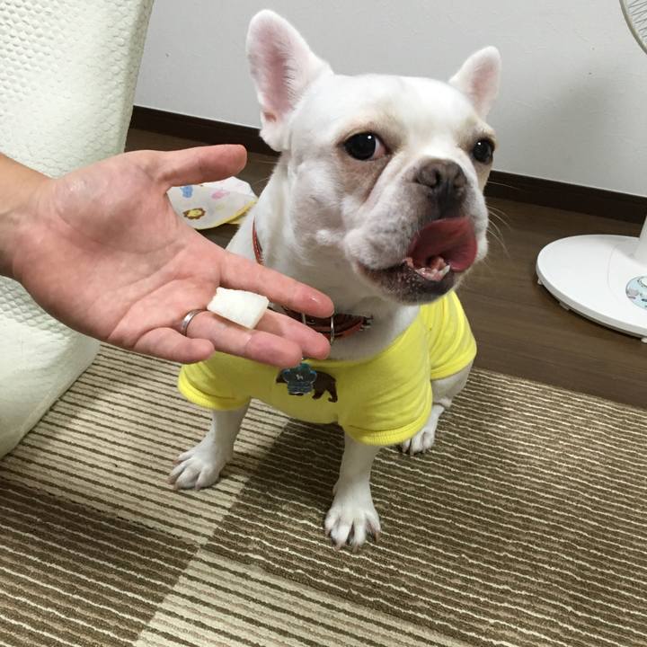 88041374 8d43 4032 a6ff bfbb580f37a4