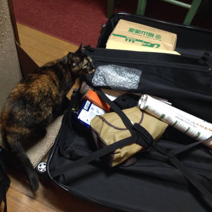 88046e6d 00e2 462f b832 5b3291c8c4fa