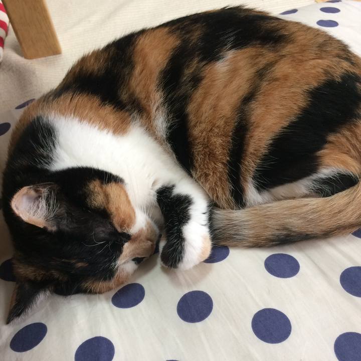 88052ee8 13f8 4385 8ae5 06619bc08115