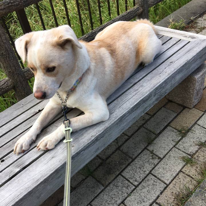 8805403e 04c3 47da 8dbe ca63d9d15e04