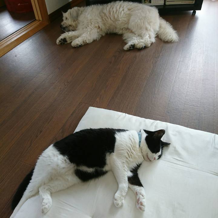 8805bb52 a7fc 4568 adf2 075efc41db68