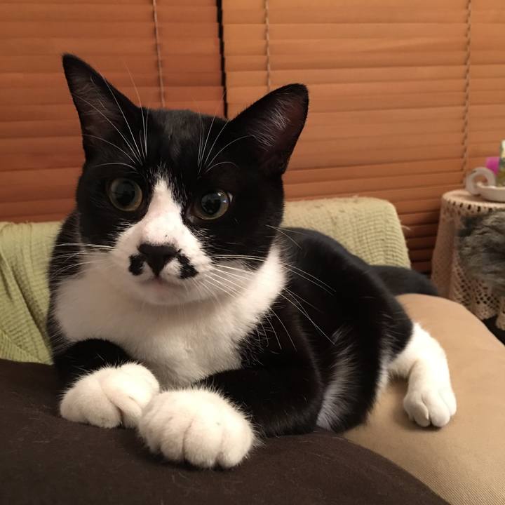 8805ef52 c830 411c 96b9 0923598d6c17