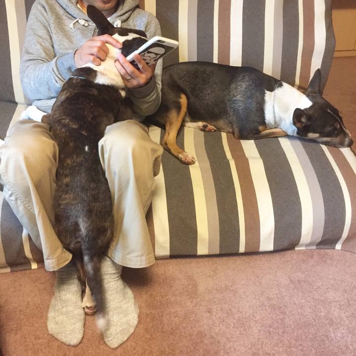 88061f66 4895 4781 abe0 513cdaf56df6