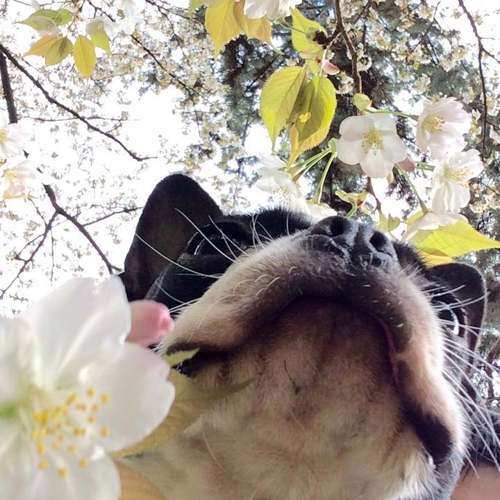 8806af3c 3e3e 4280 8166 d95af9140f17