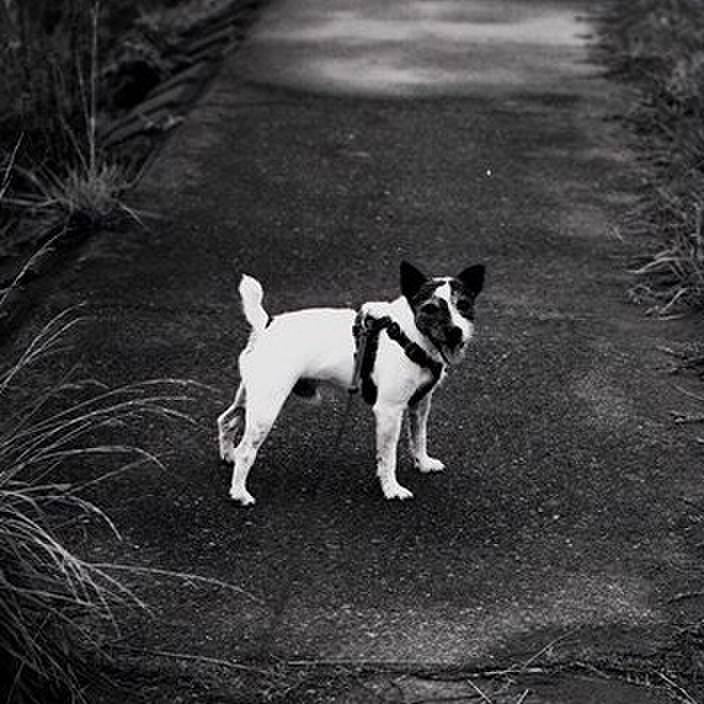 8807918e 50da 4749 83a9 d0425184f958