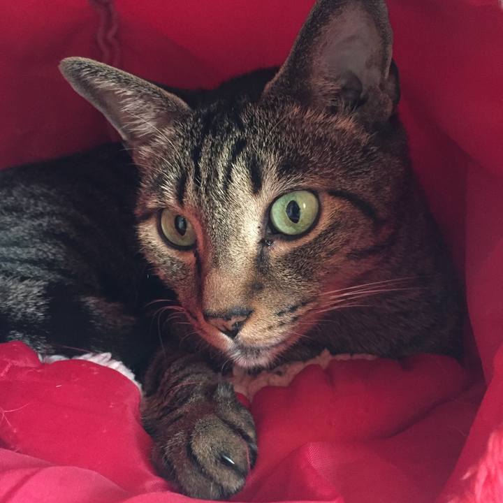 8807e9f9 5261 4e72 a5ba f6740d840926