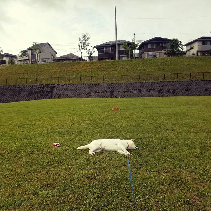 8807f599 3fb6 4e17 9ba8 acc9c9376449